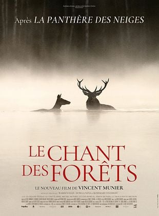 poster du film Bande-annonce Le Chant des forts