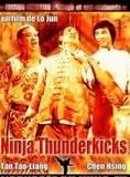 Ninjas Thunderkicks