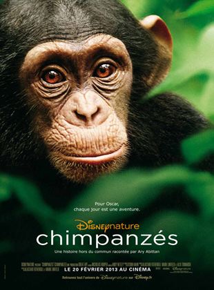 Bande-annonce Chimpanzés