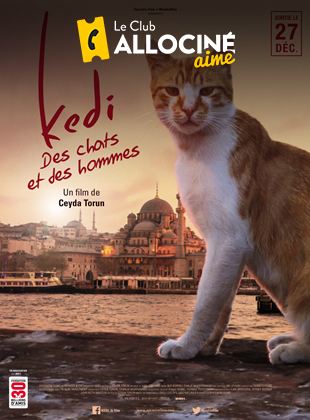 Bande-annonce Kedi - Des chats et des hommes