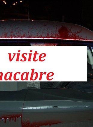 poster du film Visite macabre