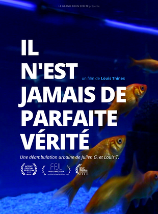 poster du film Il n'est jamais de parfaite vérité