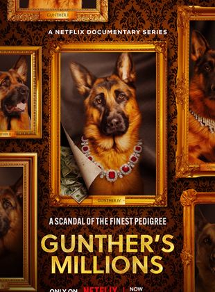 Gunther, le chien qui valait des millions
