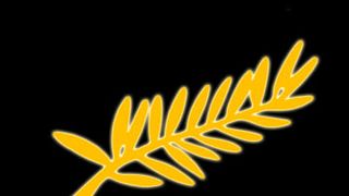 image de Lundi 24 mai 2010