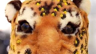 image de Mercredi 18 août 2010