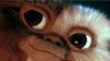 image de "Gremlins"