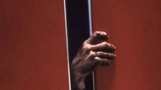 image de Les scènes d'ascenseur