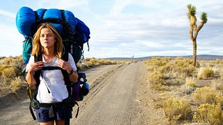 image de Les films du 14janvier