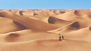 image de Les traversées du désert