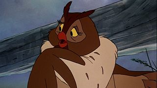 image de Les hiboux et les chouettes