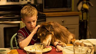 image de Les Films du 16 Octobre 2013