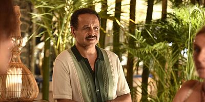 poster de la série Le mystère du gorille orange