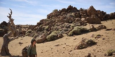 poster de la série Les Anneaux des Elfes sous les Etoiles