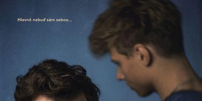 poster de la série 