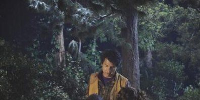 poster de la série Vacances en famille