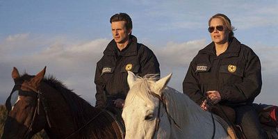 poster de la série Tous les chemins mènent au témoin