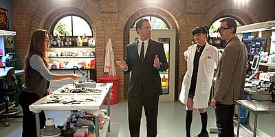 poster de la série Opération chant d'oiseau