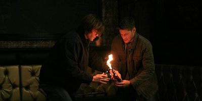 poster de la série Les familiers