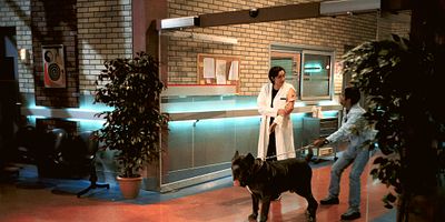 poster de la série Une vie de chien