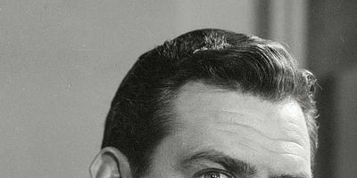 poster de la série The Case of the Missing Button