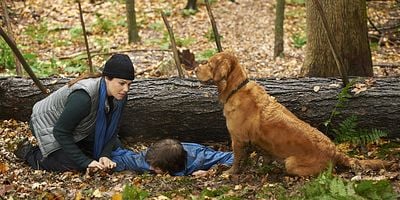 poster de la série Promenade de santé