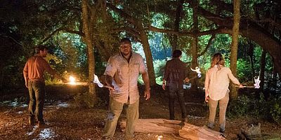 poster de la série Les nuits fauves