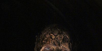 poster de la série Maintenant