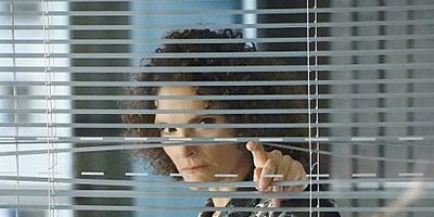 poster de la série Le respect des règles