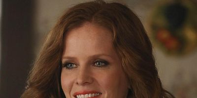 poster de la série La fée noire