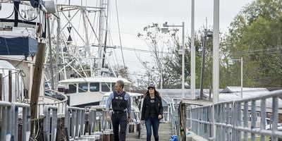 poster de la série Le retour du pirate