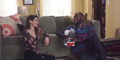 poster de la série L'opération bébé lynx