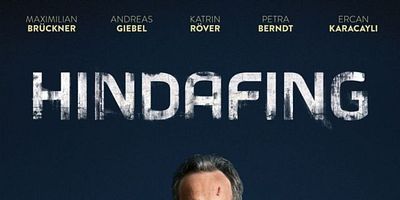 poster de la série Le village du Danube