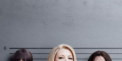 poster de la série Les liens du sang