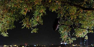 poster de la série Au cœur du crime