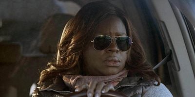 poster de la série Le caméléon