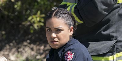 poster de la série Faire feu de tout bois