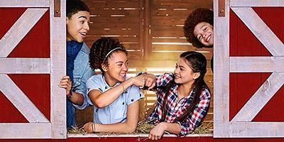 poster de la série The Celebrity Setup