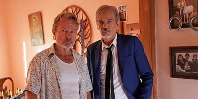 poster de la série Le diable vert