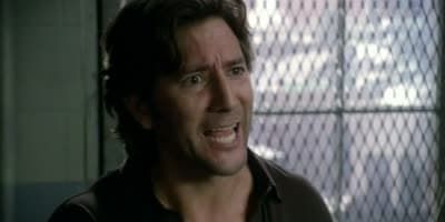 poster de la série La doublure