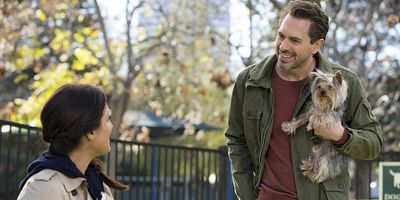 poster de la série La blague/L'assistant/Le chewing-gum/Un amour de chien