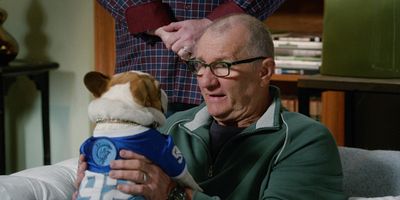 poster de la série Allergies