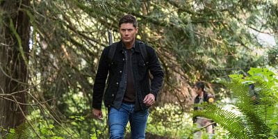 poster de la série La Cicatrice