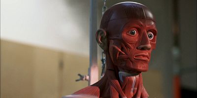 poster de la série La colère des mannequins