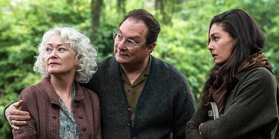 poster de la série Excès d'Animus