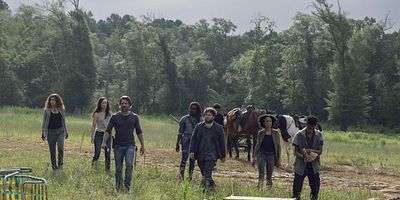 poster de la série Stradivarius