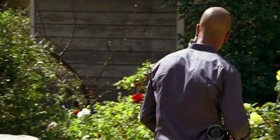 poster de la série La nouvelle souche