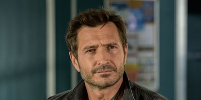 poster de la série Loup gris