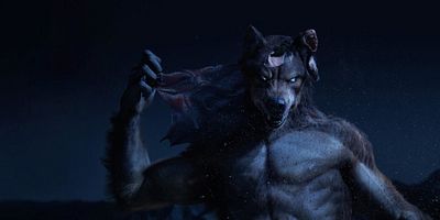 poster de la série Métamorphes