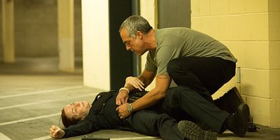 poster de la série Le Loup et le Renard