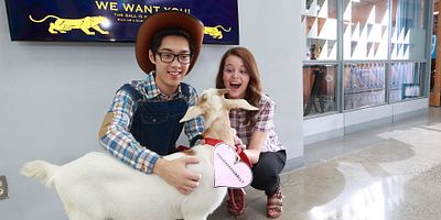 poster de la série #LaVérité